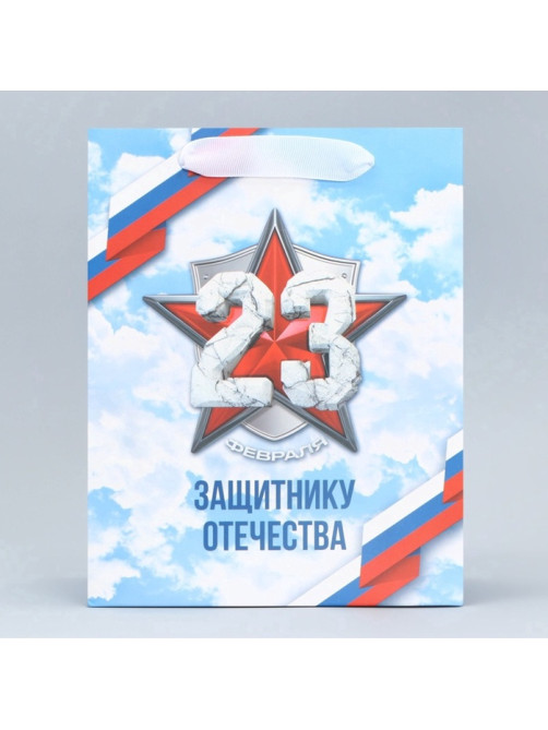 Пакет подарочный ламинированный, упаковка, «С 23 февраля», MS 18×23×10 см
