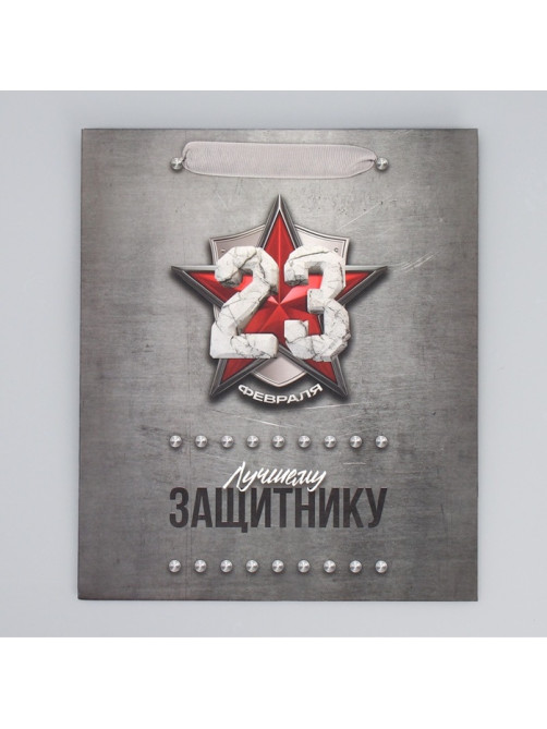 Пакет подарочный ламинированный, упаковка, «С 23 февраля», ML 23×27×11.5 см
