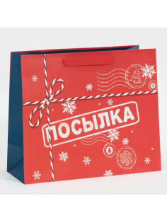 Пакет подарочный новогодний ламинированный «Посылка для тебя», MS 18×23×10 см