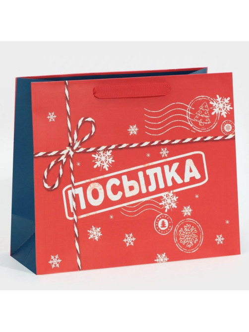 Пакет подарочный новогодний ламинированный «Посылка для тебя», MS 18×23×10 см