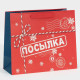 Пакет подарочный новогодний ламинированный «Посылка для тебя», MS 18×23×10 см