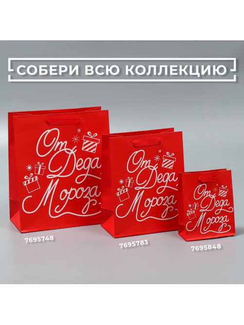 Пакет подарочный новогодний ламинированный «Новогодний подарочек», ML 23×27×11.5 см