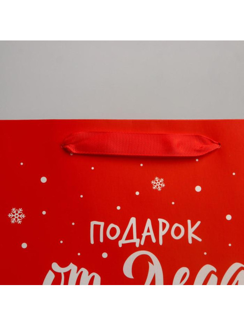 Пакет подарочный новогодний ламинированный «Подарок от Деда Мороза», ML 23×27×11.5 см