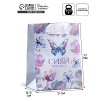 Пакет подарочный ламинированный, упаковка, «Сияй», 9×12×6.5 см