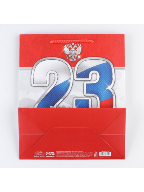 Пакет подарочный ламинированный, упаковка, «23 февраля!», ML 23×27×11.5 см