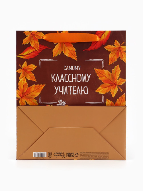 Пакет подарочный ламинированный «Учитель года», ML 27×23×11.5 см