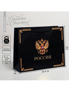 Пакет подарочный, упаковка, «Россия в душе моей», 30×25.5×9 см