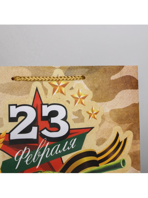 Пакет подарочный ламинированный, упаковка, «С 23 февраля», ML 25×21×8 см