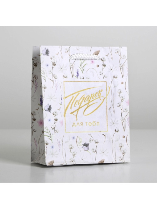 Пакет подарочный ламинированный, упаковка, Gift for you, S 12 х 15 х 5.5 см