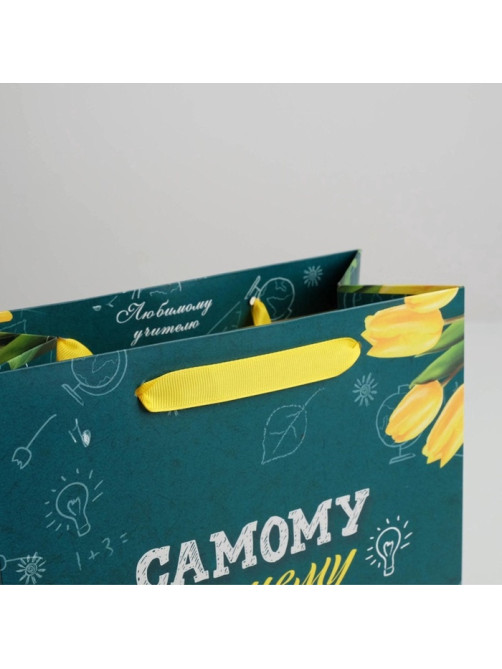 Пакет подарочный ламинированный «Самому Лучшему Учителю», ML 27×23×11.5 см