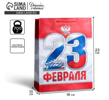 Пакет подарочный ламинированный, упаковка, «23 февраля!», MS 18×23×10 см