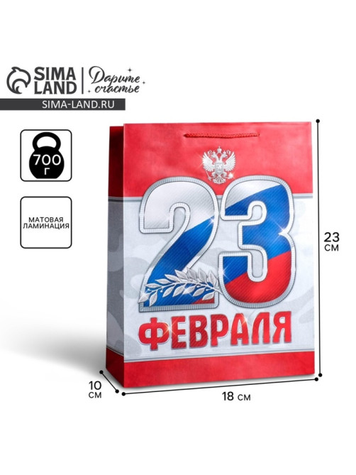 Пакет подарочный ламинированный, упаковка, «23 февраля!», MS 18×23×10 см