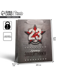 Пакет подарочный ламинированный, упаковка, «С 23 февраля», ML 23×27×11.5 см