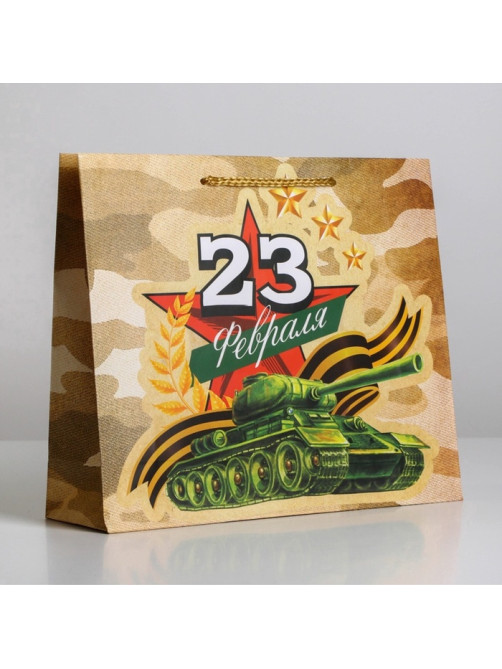 Пакет подарочный ламинированный, упаковка, «С 23 февраля», ML 25×21×8 см