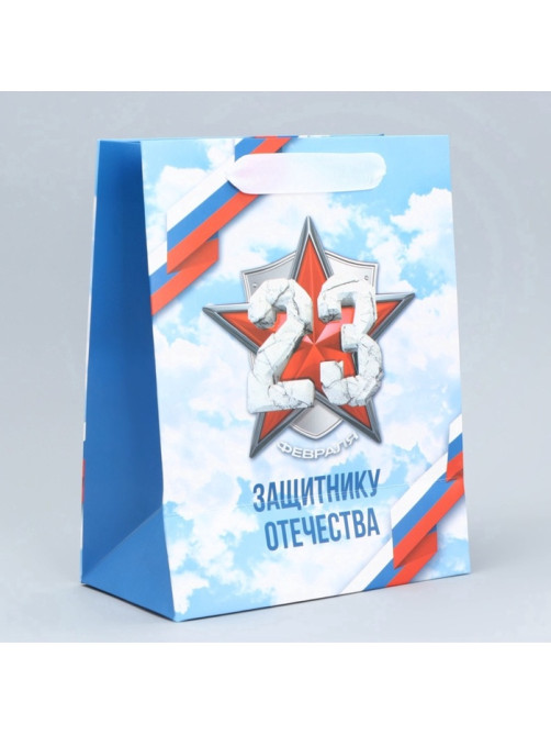 Пакет подарочный ламинированный, упаковка, «С 23 февраля», MS 18×23×10 см