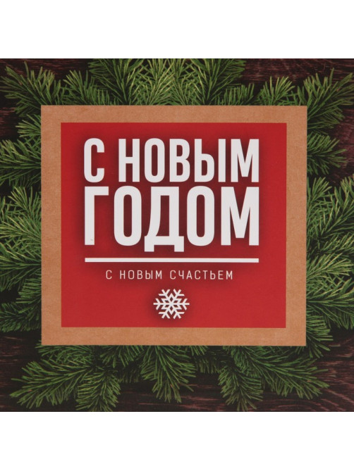 Пакет подарочный новогодний ламинированный «С Новым годом», MS 18×23×10 см