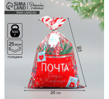 Пакет подарочный новогодний пластиковый «Почта», 20×30 см