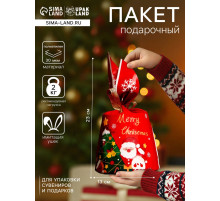 Пакет полиэтиленовый подарочный новогодний, с ушками Friends, 13×22 см