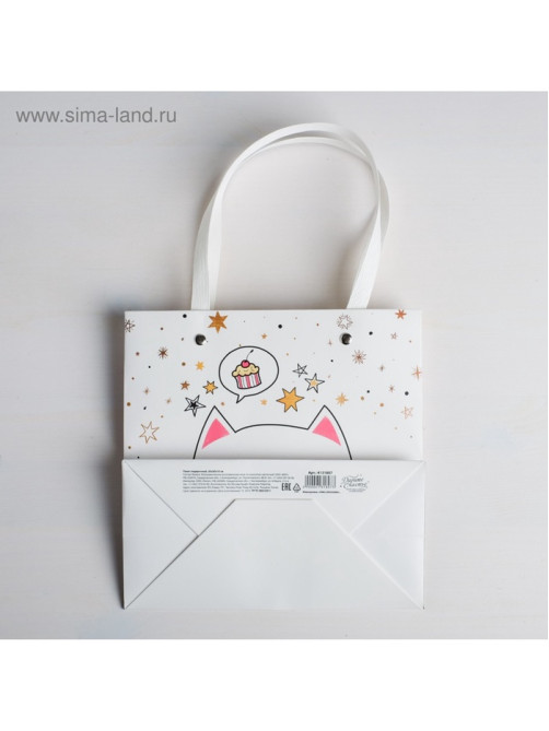 Пакет подарочный, упаковка, «Котик», 20×20×10 см