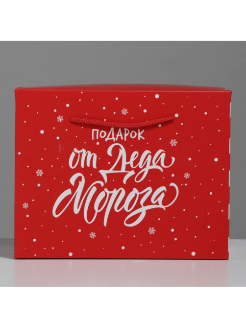 Пакет - коробка новогодний подарочный «Подарок», 23×18×11 см