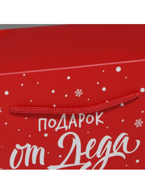 Пакет - коробка новогодний подарочный «Подарок», 23×18×11 см