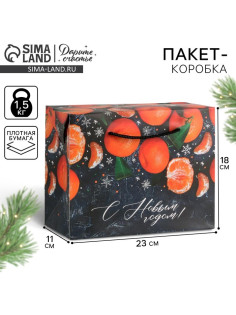 Пакет - коробка подарочный новогодний «С Новым годом», 23×18×11 см