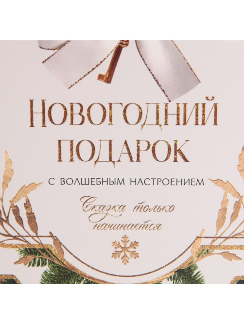 Пакет - коробка подарочный новогодний «Подарок для тебя», 23×18×11 см