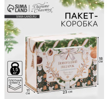 Пакет - коробка подарочный новогодний «Подарок для тебя», 23×18×11 см