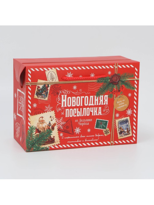 Пакет-коробка подарочный новогодний «Посылочка», 28×20×13 см