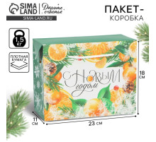 Пакет-коробка подарочный новогодний «С Новым годом», 23×18×11 см