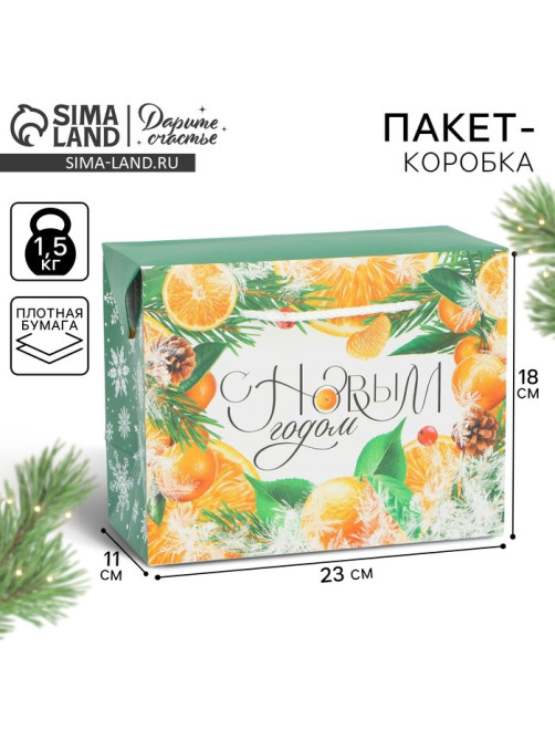 Пакет-коробка подарочный новогодний «С Новым годом», 23×18×11 см