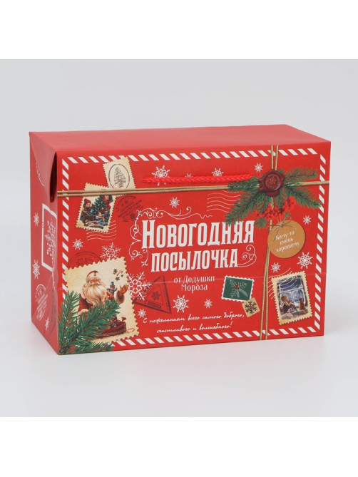 Пакет-коробка подарочный новогодний «Посылочка», 28×20×13 см