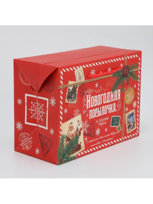 Пакет-коробка подарочный новогодний «Посылочка», 28×20×13 см