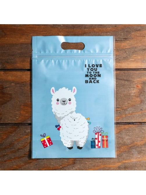 Пакет подарочный, с zip-lock застежкой, 15×22.5 см, МИКС