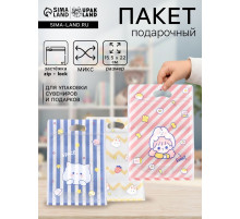 Пакет подарочный Zip-lock, «Корейский стиль», 15.5×22+3.5 см МИКС
