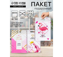 Пакет подарочный, с zip-lock застежкой, 15×23 см, МИКС