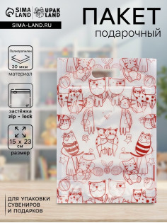 Пакет подарочный, с zip - lock застежкой, 15×23 см