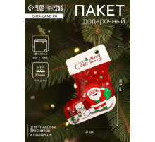 Пакет подарочный новогодний, с zip - lock застежкой, 10×15.5 см