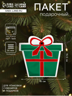 Пакет подарочный новогодний «Подарок», с zip - lock застежкой 15×15.5 см