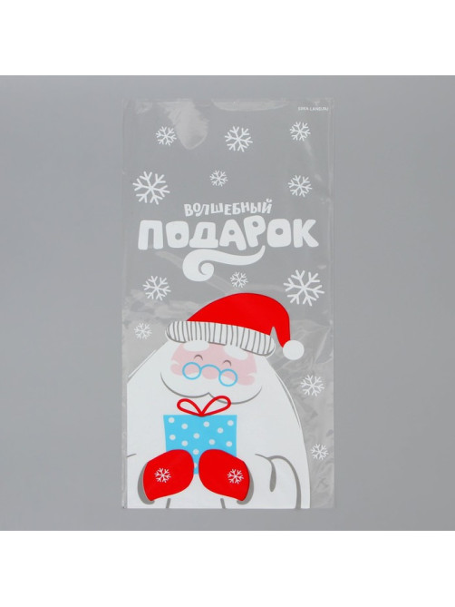 Пакет БОПП новогодний «Дед Мороз», 13×27 см