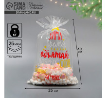 Пакет БОПП новогодний «Зима», 25×40 см