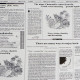 Плёнка матовая «Флористическая статья» белый, 57×57 см ±5% см