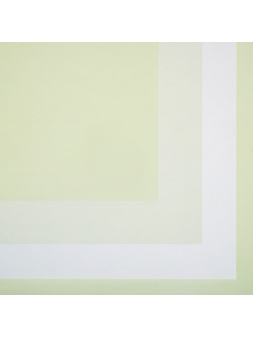 Пленка для цветов, в листах, светло-зелёный, 57×57 см