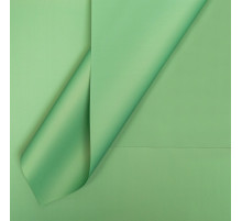 Плёнка флористическая для цветов, травяной, 57×57 см