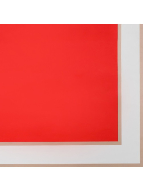 Пленка флористическая, красная, 58×58 см, 50 мкм
