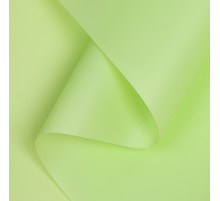 Пленка матовая для цветов и букетов, зеленая мята, 0.58×10 м