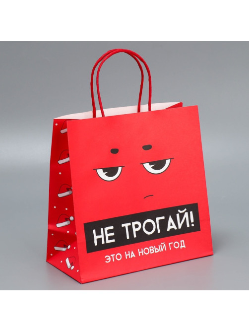 Набор пакетов подарочных новогодних «Это на Новый год», 6 шт., 22×22×11 см