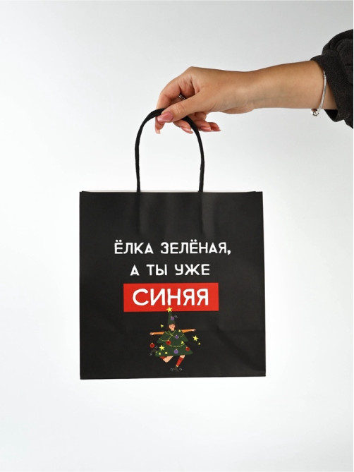 Набор пакетов подарочных новогодних «Так тебе и надо», 6 шт., 22×22×11 см