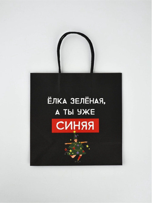 Набор пакетов подарочных новогодних «Так тебе и надо», 6 шт., 22×22×11 см