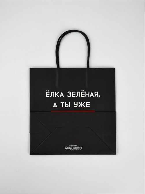 Набор пакетов подарочных новогодних «Так тебе и надо», 6 шт., 22×22×11 см